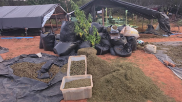 Fazenda da maconha: Polícia Civil já tem novos nomes de envolvidos no caso, diz governador