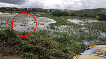 Caminhão fica submerso em açude no CE e motorista escapa sozinho da cabine após acidente; VÍDEO