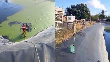 Vídeo: bombeiros resgatam quatro cães de reservatório na Grande Fortaleza