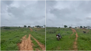 Mulher é encontrada em mata no Ceará após fugir de agressor e passar três dias desaparecida